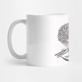 Echidna Mug